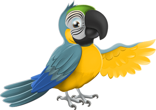 ITOF - Macaw Bird