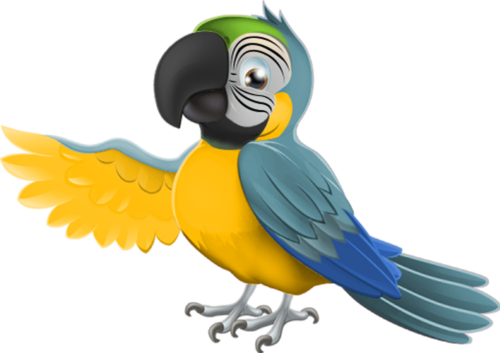 ITOF - A bird with bright yellow wings