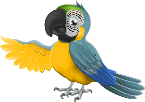 ITOF - A Parrot with yellow and blue feathers