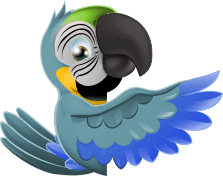 ITOF - Illustration of a Macaw bird